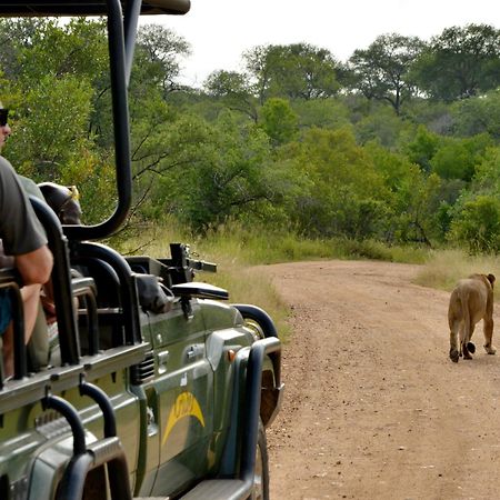 Kruger Safari Lodge Manyeleti Game Reserve Exterior photo